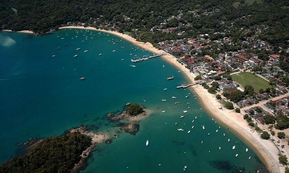 Leao Do Mar Abraão